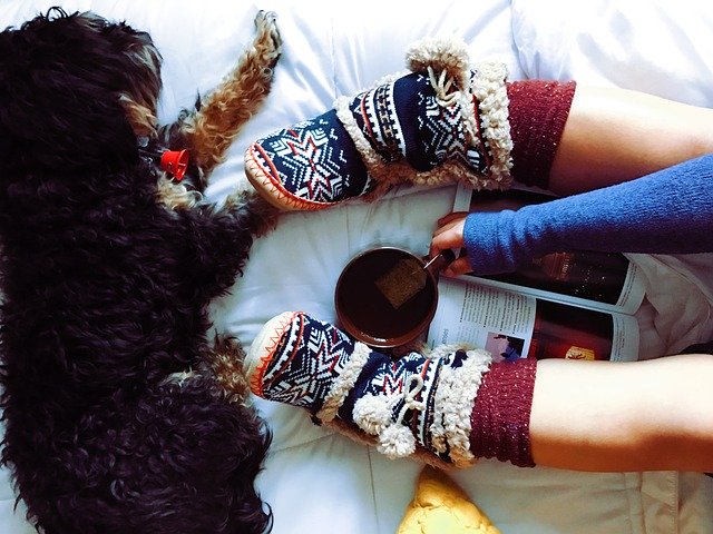 Lady and Puppy cuddling on bed with Zen Accessories