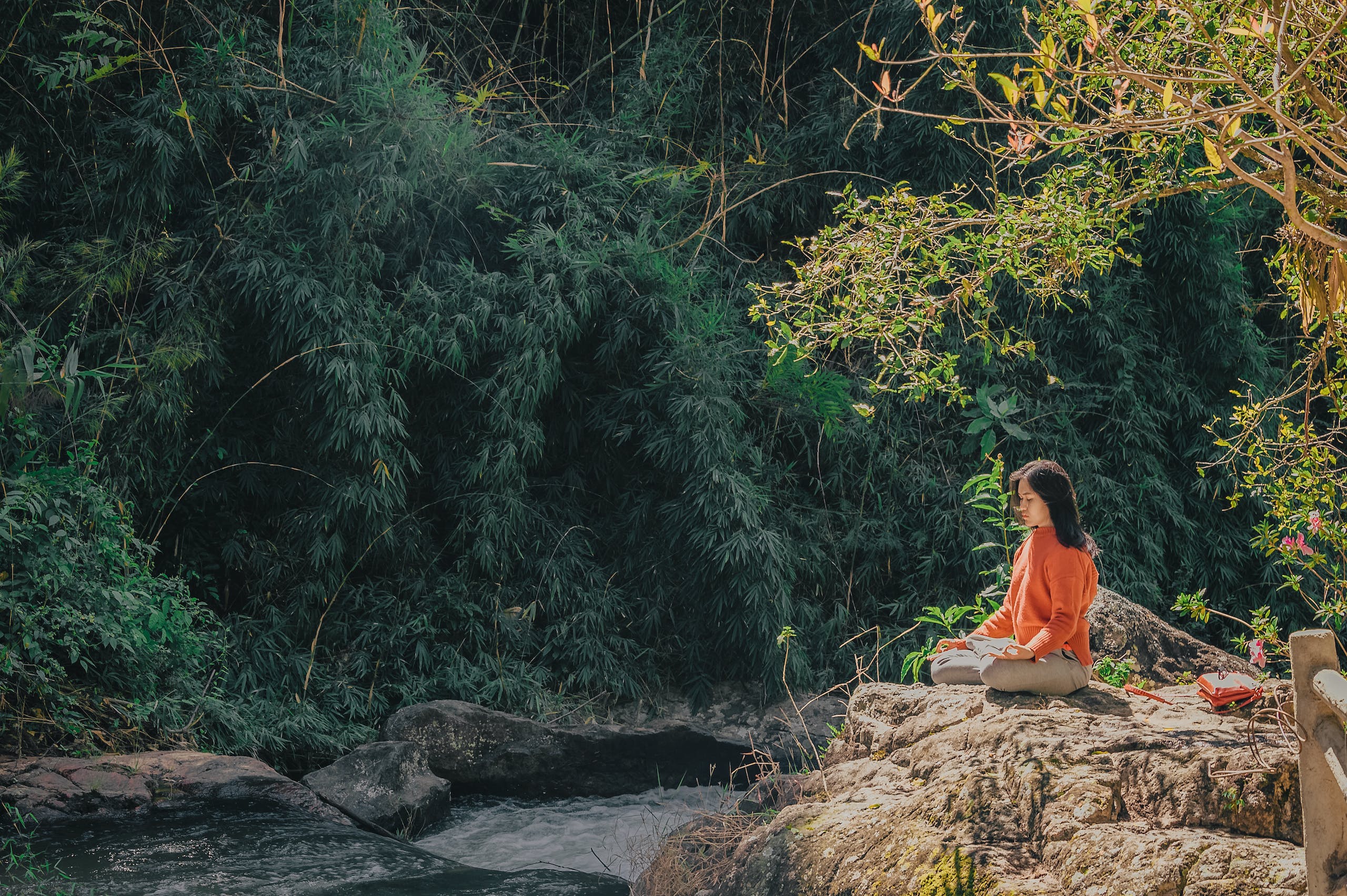 Woman Sitting on Brown Stone Near Green Leaf Trees at Daytime